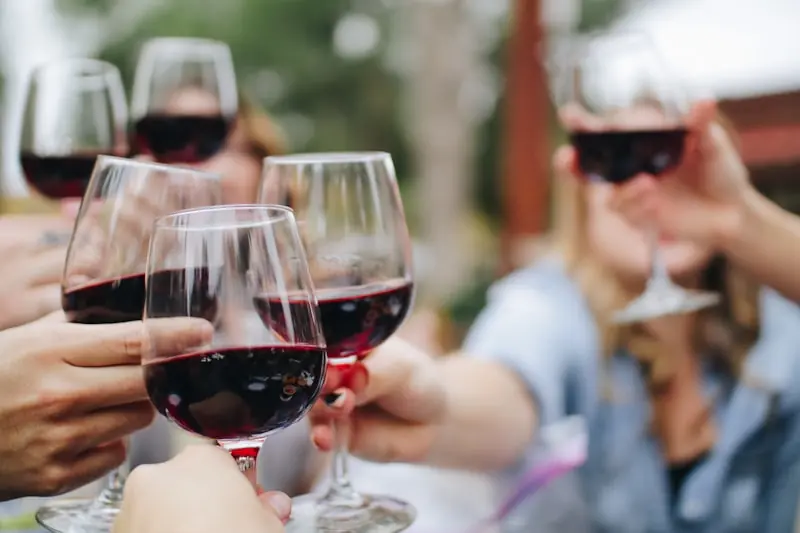 Vinhos Tintos